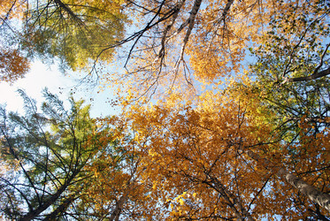 Similar image 821718