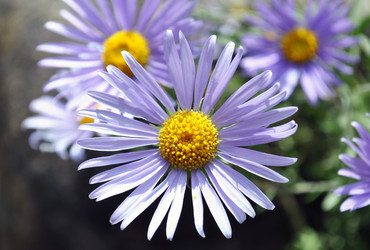 Similar image 821763