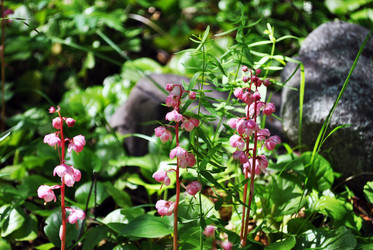 Similar image 821766