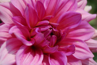 Similar image 821773