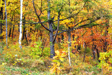 Similar image 821777