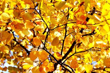 Similar image 821778