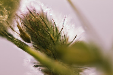 Similar image 821798