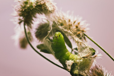 Similar image 821842