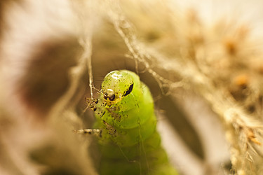 Similar image 821844