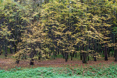 Similar image 821892