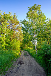 Similar image 821899