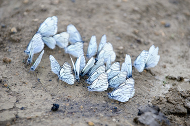 Similar image 821901