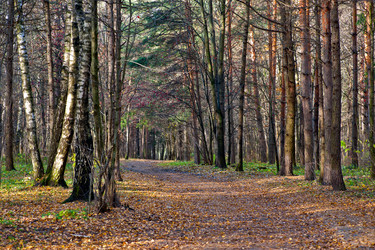 Similar image 821903