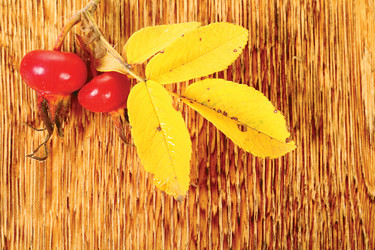 Similar image 821916