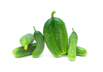 Similar image 821933