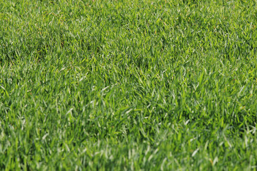 Similar image 821936