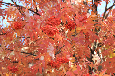 Similar image 821939