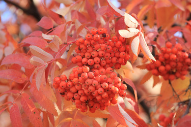 Similar image 821940