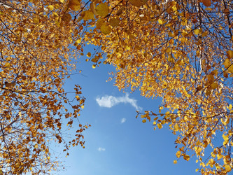 Similar image 821941