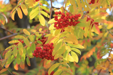 Similar image 821943