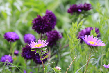 Similar image 821944