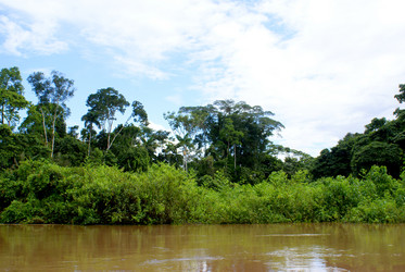 Similar image 821945