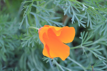 Similar image 821946