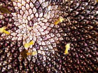 Similar image 821960