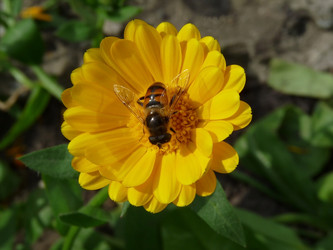 Similar image 821961