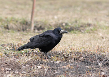 Similar image 821966