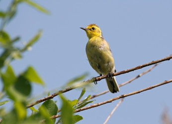 Similar image 821969