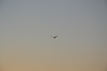 Similar image 822016