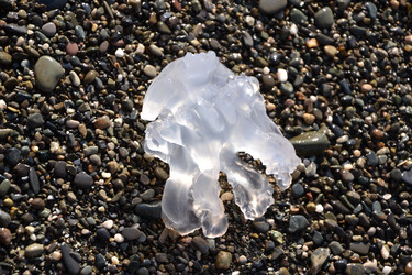 Similar image 822017