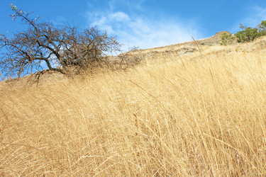 Similar image 822045