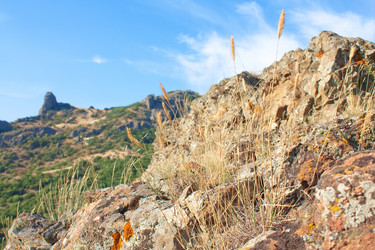 Similar image 822046