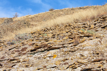 Similar image 822047