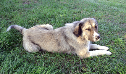 Similar image 822052