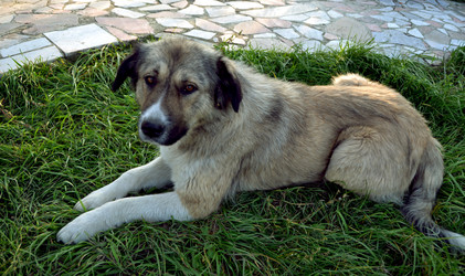 Similar image 822053