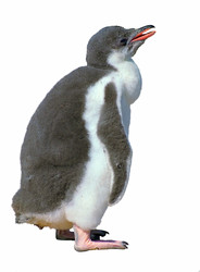 Similar image 822114