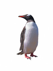 Similar image 822116