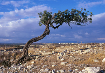 Similar image 822210