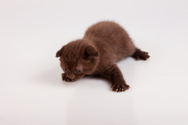 Similar image 822233