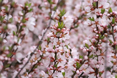 Similar image 822235