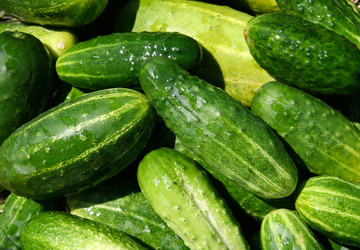 Similar image 822240