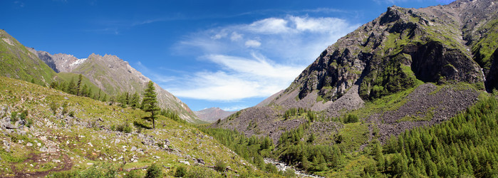 Similar image 822242