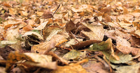 Similar image 822246