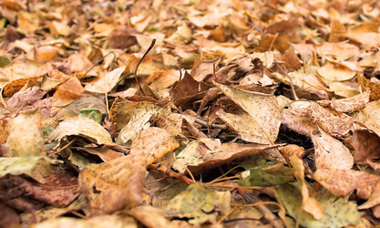 Similar image 822247