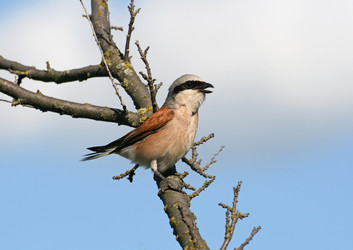 Similar image 822274