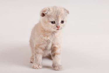 Similar image 822279