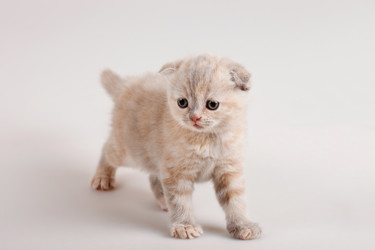 Similar image 822280