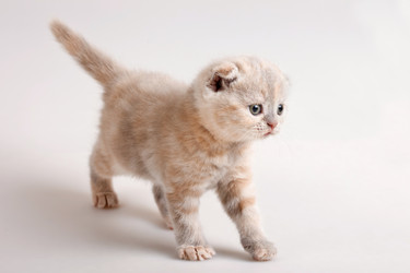 Similar image 822281