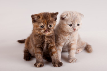 Similar image 822287