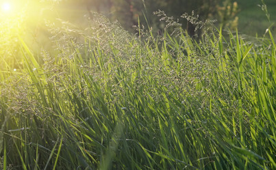 Similar image 822294