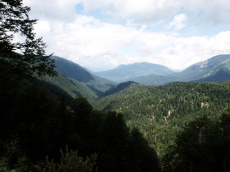 Similar image 822306